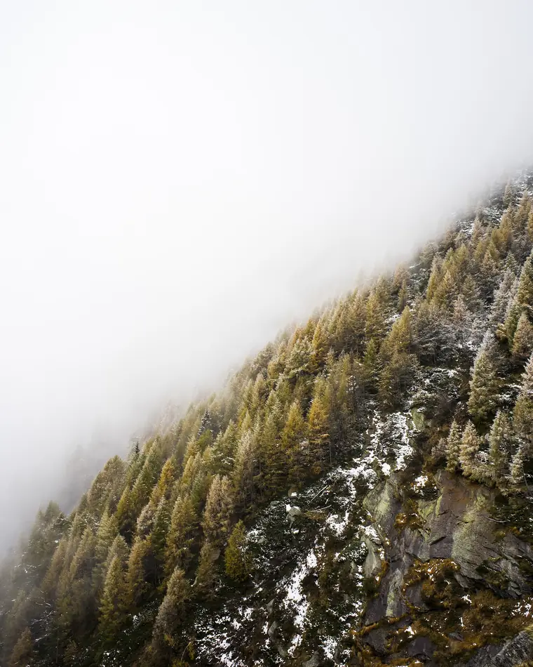 A hillside emerging from low cloud — terrain becoming visible.